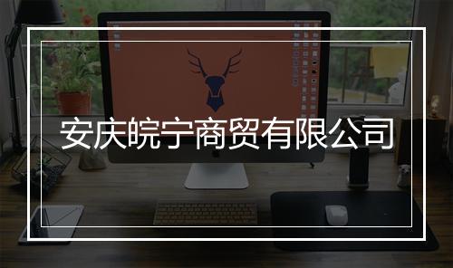 安庆皖宁商贸有限公司