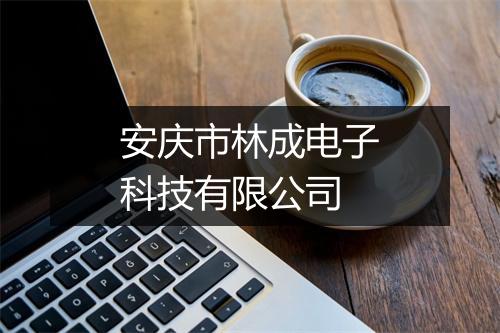 安庆市林成电子科技有限公司