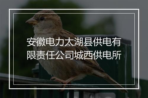 安徽电力太湖县供电有限责任公司城西供电所