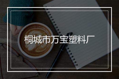 桐城市万宝塑料厂