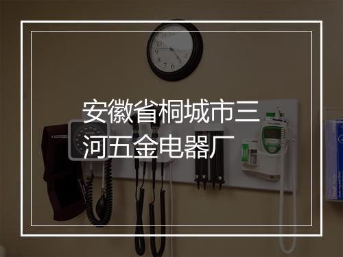 安徽省桐城市三河五金电器厂
