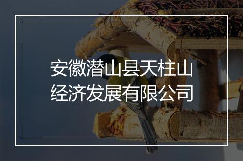安徽潜山县天柱山经济发展有限公司