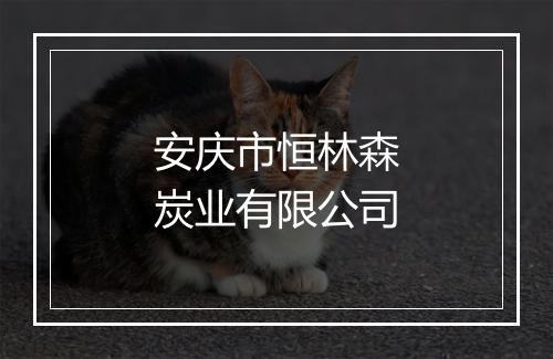 安庆市恒林森炭业有限公司