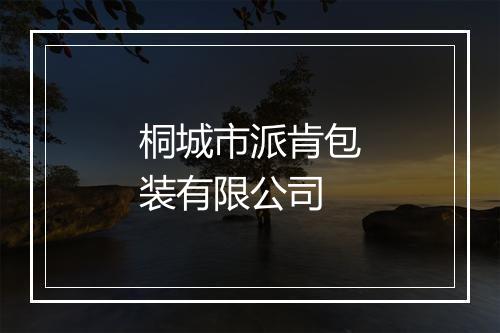 桐城市派肯包装有限公司