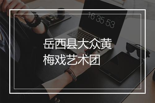 岳西县大众黄梅戏艺术团