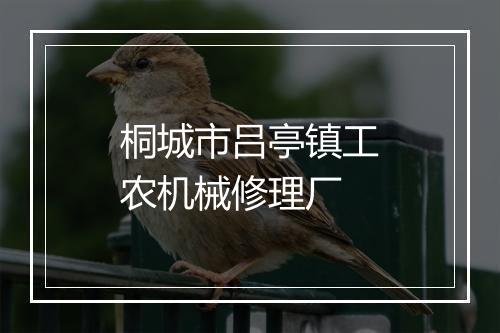 桐城市吕亭镇工农机械修理厂