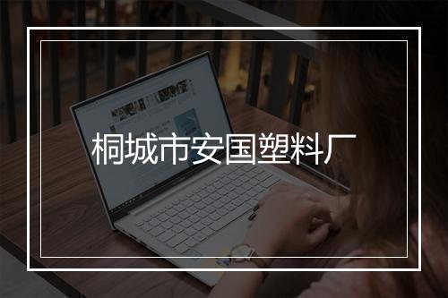 桐城市安国塑料厂