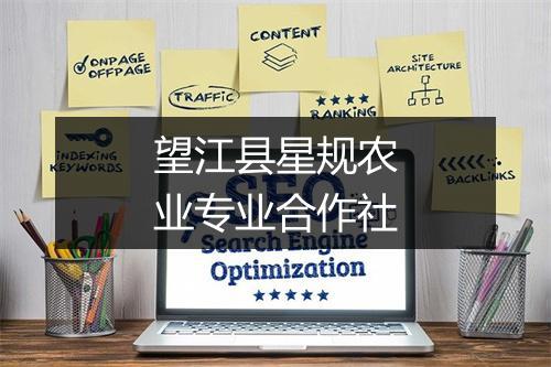 望江县星规农业专业合作社