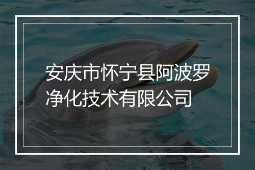 安庆市怀宁县阿波罗净化技术有限公司