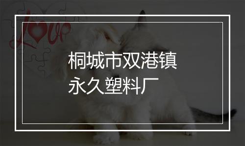 桐城市双港镇永久塑料厂