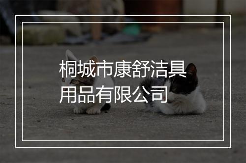 桐城市康舒洁具用品有限公司