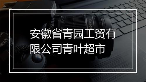 安徽省青园工贸有限公司青叶超市