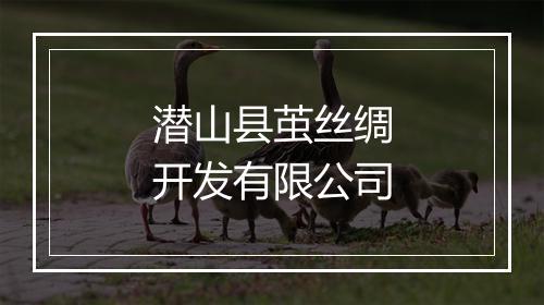 潜山县茧丝绸开发有限公司