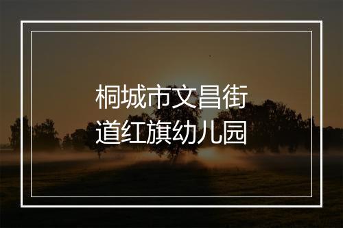 桐城市文昌街道红旗幼儿园
