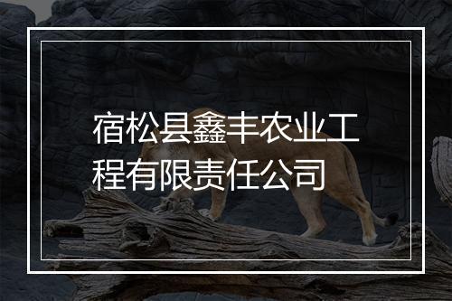 宿松县鑫丰农业工程有限责任公司