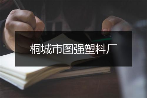 桐城市图强塑料厂