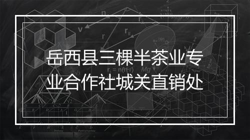 岳西县三棵半茶业专业合作社城关直销处