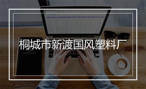 桐城市新渡国风塑料厂