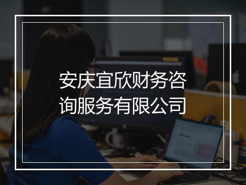 安庆宜欣财务咨询服务有限公司