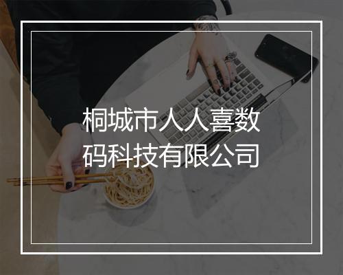 桐城市人人喜数码科技有限公司