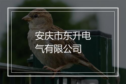 安庆市东升电气有限公司