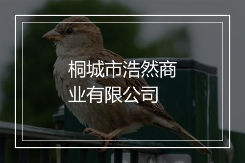 桐城市浩然商业有限公司