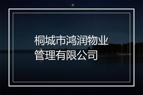 桐城市鸿润物业管理有限公司