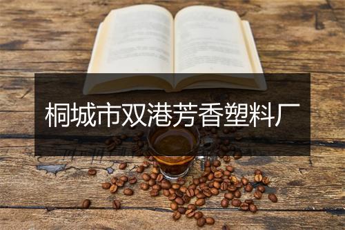桐城市双港芳香塑料厂