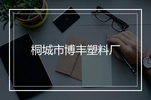 桐城市博丰塑料厂