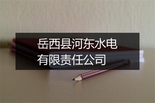 岳西县河东水电有限责任公司
