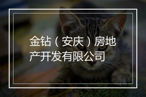 金钻（安庆）房地产开发有限公司