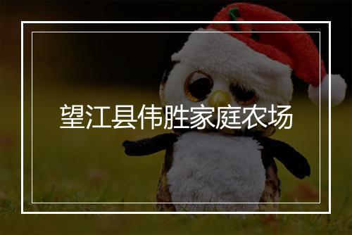 望江县伟胜家庭农场