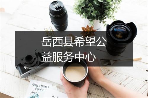 岳西县希望公益服务中心
