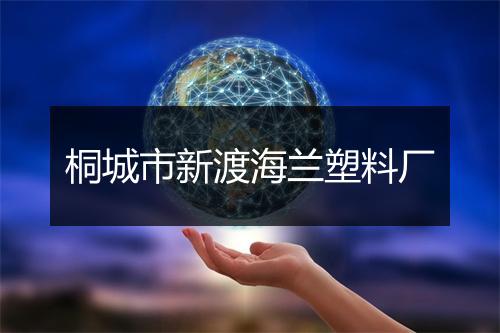 桐城市新渡海兰塑料厂