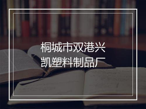 桐城市双港兴凯塑料制品厂