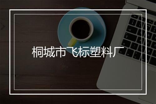 桐城市飞标塑料厂