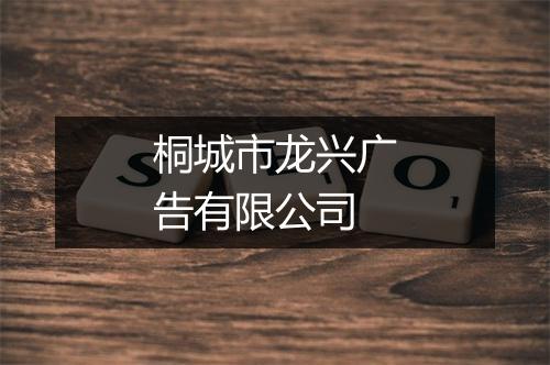 桐城市龙兴广告有限公司