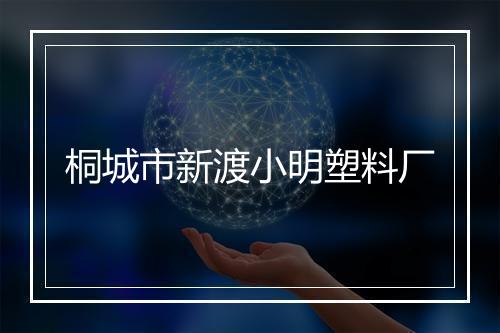 桐城市新渡小明塑料厂