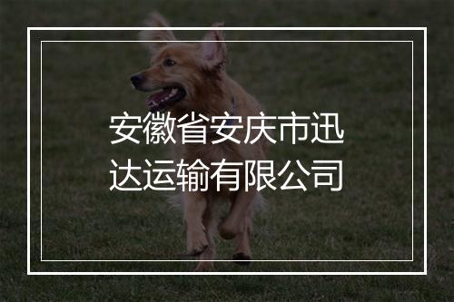 安徽省安庆市迅达运输有限公司