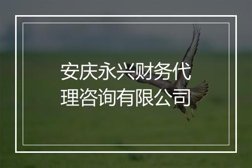 安庆永兴财务代理咨询有限公司