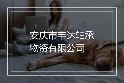 安庆市丰达轴承物资有限公司