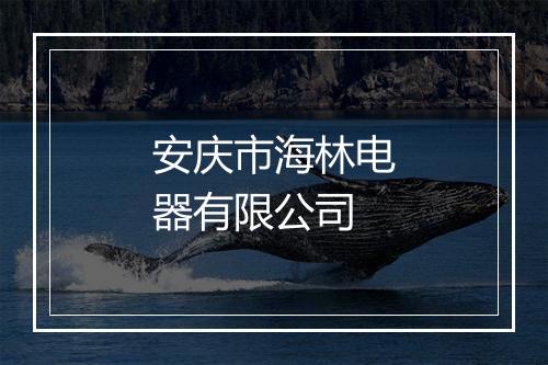 安庆市海林电器有限公司