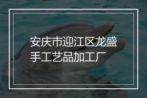 安庆市迎江区龙盛手工艺品加工厂