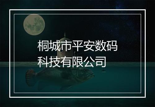 桐城市平安数码科技有限公司