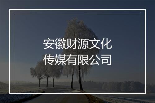 安徽财源文化传媒有限公司