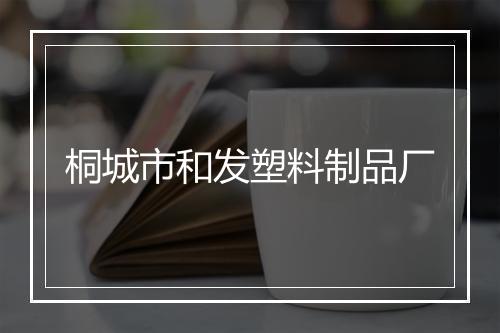 桐城市和发塑料制品厂