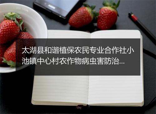 太湖县和谐植保农民专业合作社小池镇中心村农作物病虫害防治专业队