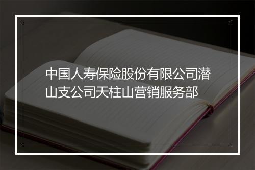 中国人寿保险股份有限公司潜山支公司天柱山营销服务部