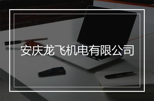 安庆龙飞机电有限公司