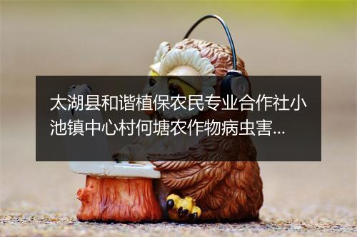 太湖县和谐植保农民专业合作社小池镇中心村何塘农作物病虫害防治专业队